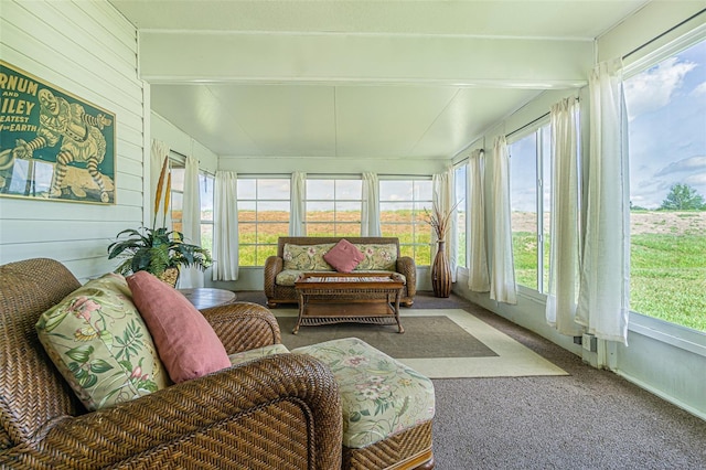 11311 Corey Pavin Ln, San Antonio, FL 33576 - sunroom with carpet and wooden walls
