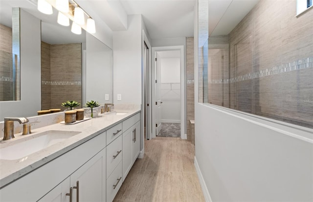 5953 Bluestar Ct, Lakewood Ranch, FL 34211 - bathroom featuring double vanity, a sink, and a spacious closet