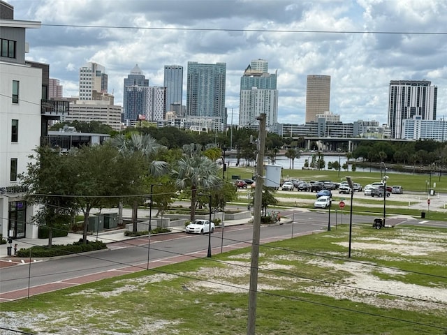 501 W Ross Ave Unit 1, Tampa, FL 33602 - skyline view