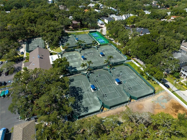 3005 W Helen Ave, Tampa, FL 33611 - photo 42