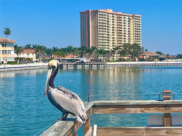 dock area with a water view