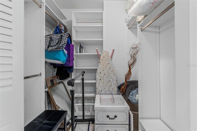view of walk in closet
