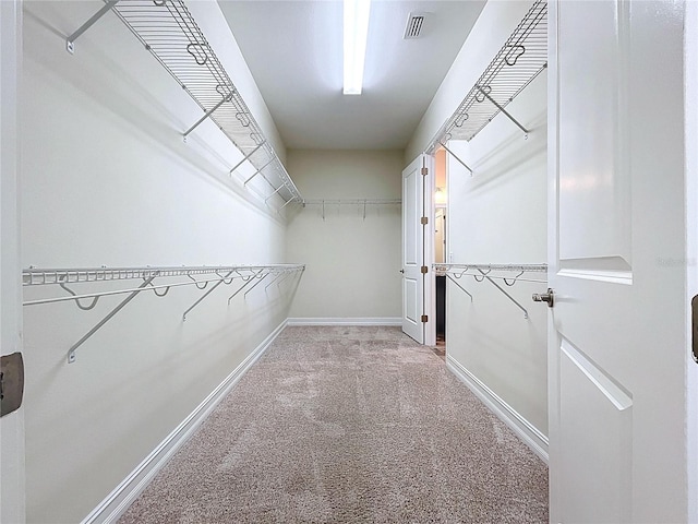 1723 Whitewillow Dr, Wesley Chapel, FL 33543 - spacious closet with light colored carpet