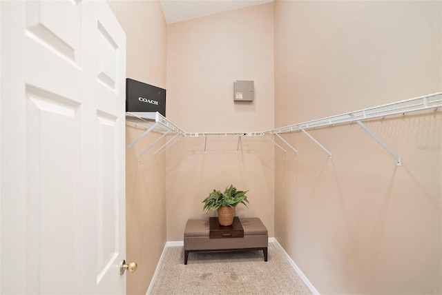 3023 Bent Creek Dr, Valrico, FL 33596 - walk in closet with carpet floors