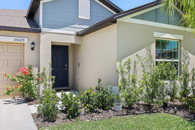 view of exterior entry with a shingled roof, stucco siding, and an attached garage