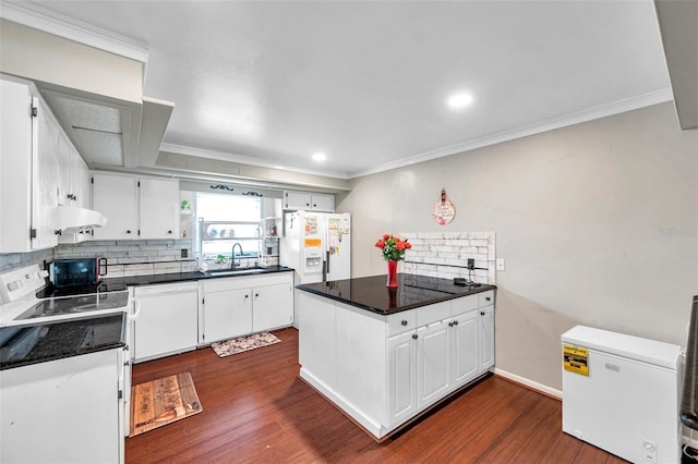 424 Forest Glen Ave, Lakeland, FL 33813 - kitchen with white appliances, a sink, tasteful backsplash, dark wood-style floors, and ornamental molding
