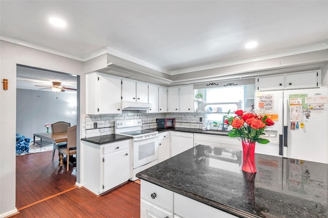 424 Forest Glen Ave, Lakeland, FL 33813 - kitchen featuring white appliances, under cabinet range hood, ornamental molding, dark wood-style floors, and white cabinets