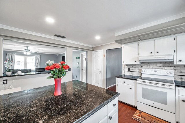 424 Forest Glen Ave, Lakeland, FL 33813 - kitchen with electric range, under cabinet range hood, ornamental molding, dark wood-style floors, and decorative backsplash
