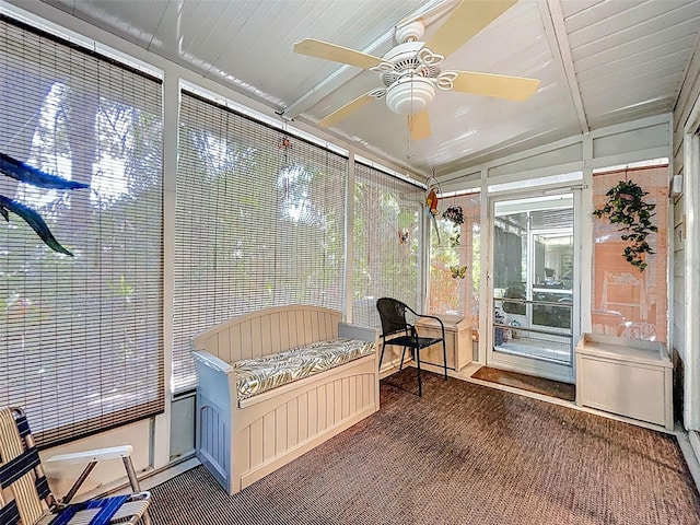 3078 Pointer Dr, Palm Harbor, FL 34683 - sunroom / solarium with ceiling fan