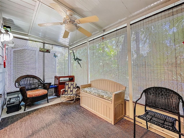 3078 Pointer Dr, Palm Harbor, FL 34683 - sunroom / solarium with a ceiling fan and carpet flooring