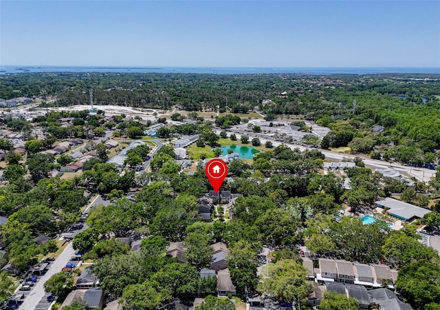 3078 Pointer Dr, Palm Harbor, FL 34683 - birds eye view of property with a forest view and a residential view
