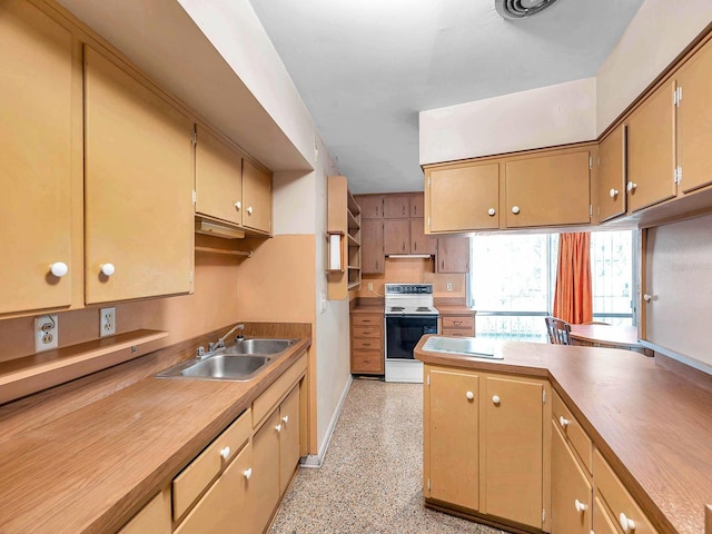 kitchen with light speckled floor, baseboards, electric range oven, under cabinet range hood, and a sink