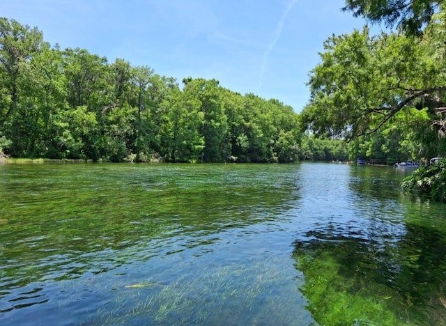 11305 SW 186th Cir, Dunnellon, FL 34432 - water view featuring a heavily wooded area