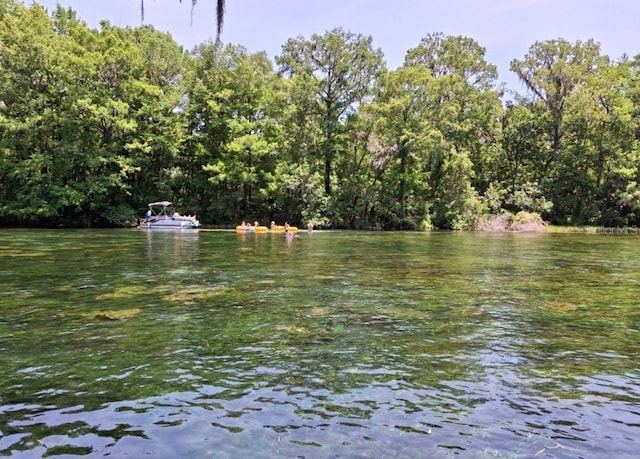 11305 SW 186th Cir, Dunnellon, FL 34432 - water view featuring a heavily wooded area