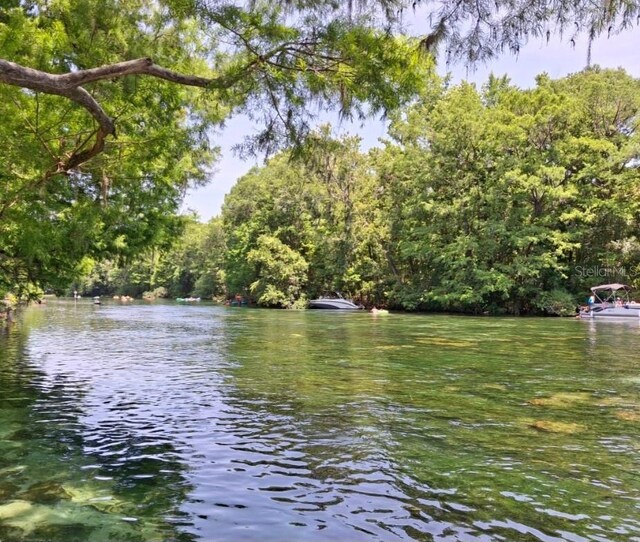 11305 SW 186th Cir, Dunnellon, FL 34432 - water view