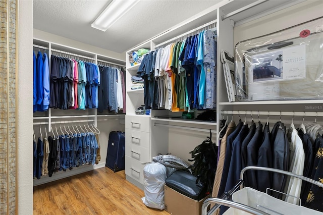 walk in closet with wood finished floors
