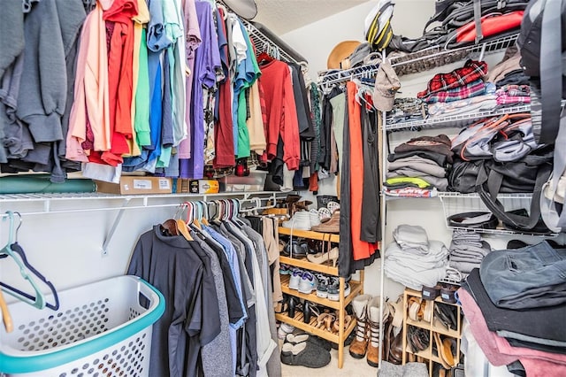18013 Palm Breeze Dr, Tampa, FL 33647 - view of walk in closet
