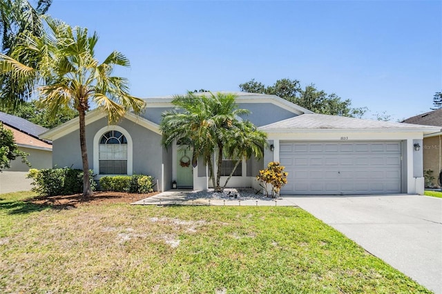 18013 Palm Breeze Dr, Tampa, FL 33647 - single story home with an attached garage, a front lawn, stucco siding, and concrete driveway