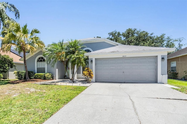18013 Palm Breeze Dr, Tampa, FL 33647 - ranch-style home featuring concrete driveway, an attached garage, a front yard, and stucco siding