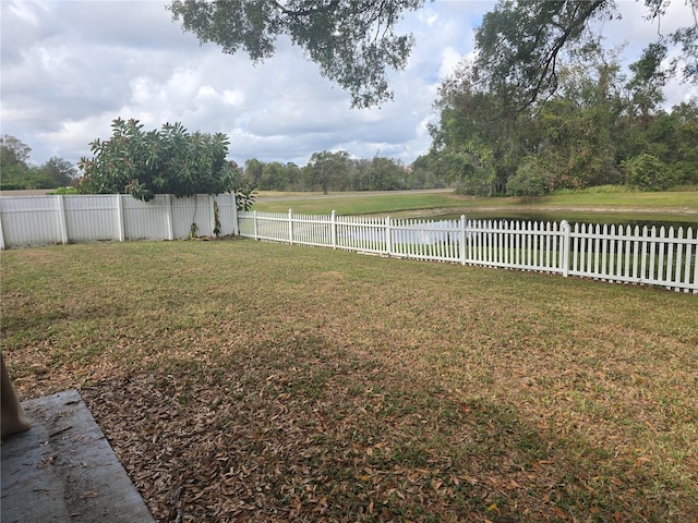 23015 Mayfair Rd, Land O Lakes, FL 34639 - photo 3