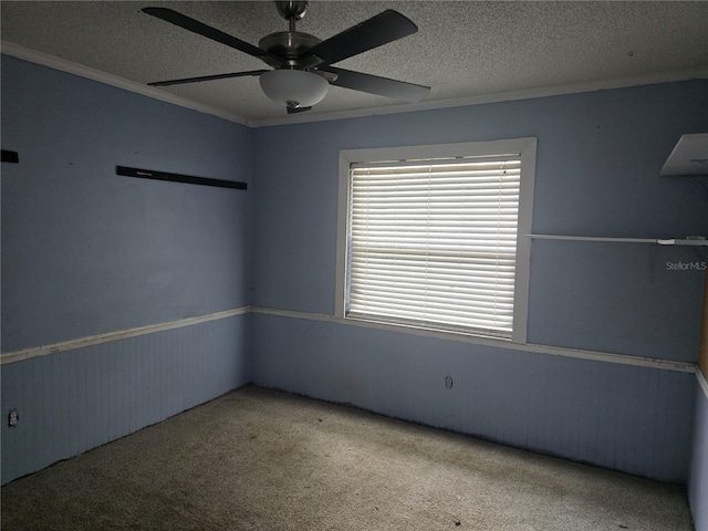 23015 Mayfair Rd, Land O Lakes, FL 34639 - photo 8