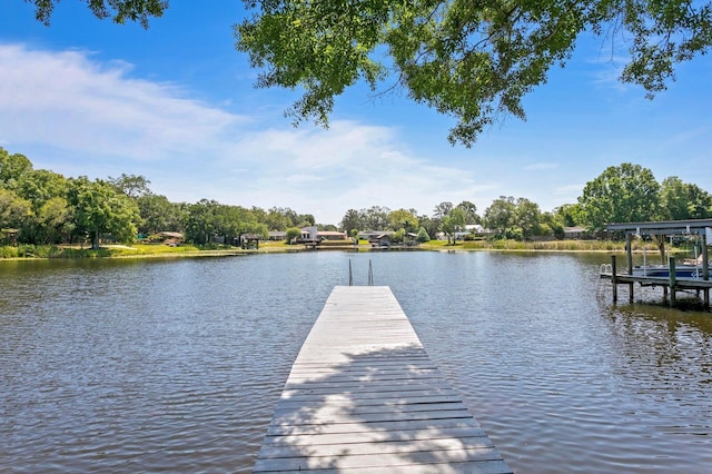 dock area with a water view