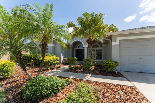 view of front of property with a garage, stucco siding, and driveway