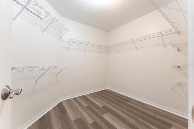 spacious closet with dark wood-style flooring