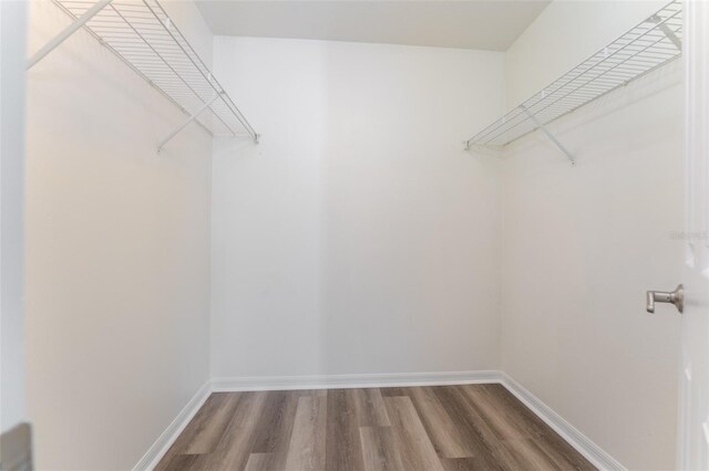spacious closet with wood finished floors