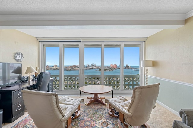 living area with ornamental molding, a textured ceiling, a water view, and a healthy amount of sunlight