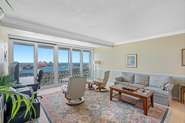 living area featuring crown molding, carpet, a textured ceiling, and a water view