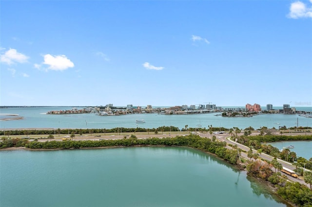 property view of water featuring a city view