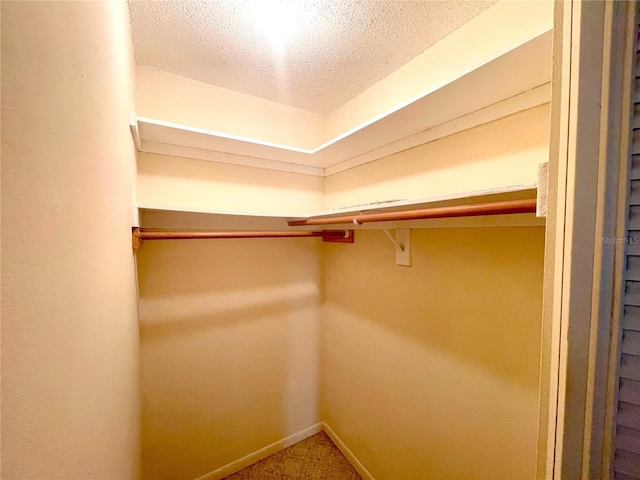 3128 59th St S Unit 206, Gulfport, FL 33707 - spacious closet with carpet floors