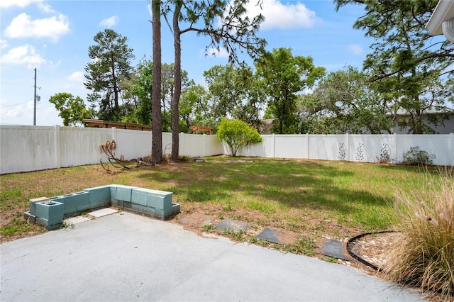 3353 Montano Ave, Spring Hill, FL 34609 - view of yard with a patio area and a fenced backyard