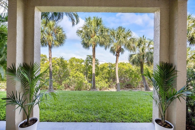 1476 Harbour Walk Rd, Tampa, FL 33602 - view of green lawn