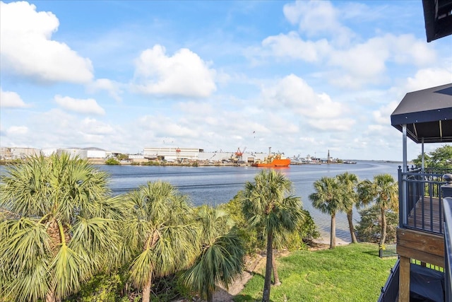 1476 Harbour Walk Rd, Tampa, FL 33602 - water view
