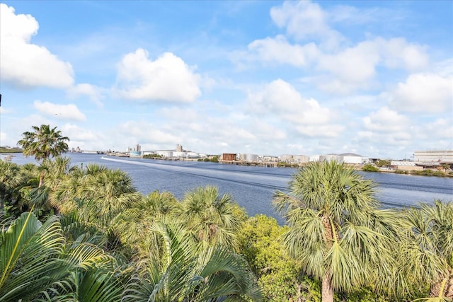 1476 Harbour Walk Rd, Tampa, FL 33602 - water view featuring a notable bridge