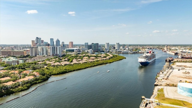 1476 Harbour Walk Rd, Tampa, FL 33602 - water view featuring a skyline view