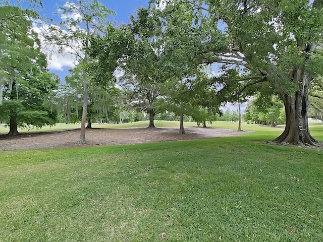 view of home's community featuring a yard
