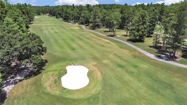 drone / aerial view with golf course view