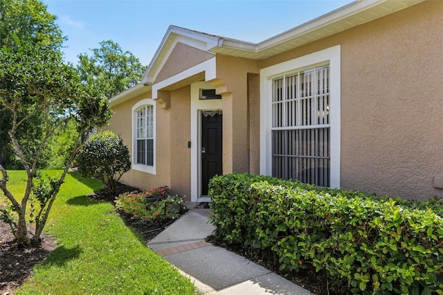 19129 Lake Audubon Dr, Tampa, FL 33647 - doorway to property featuring a lawn and stucco siding