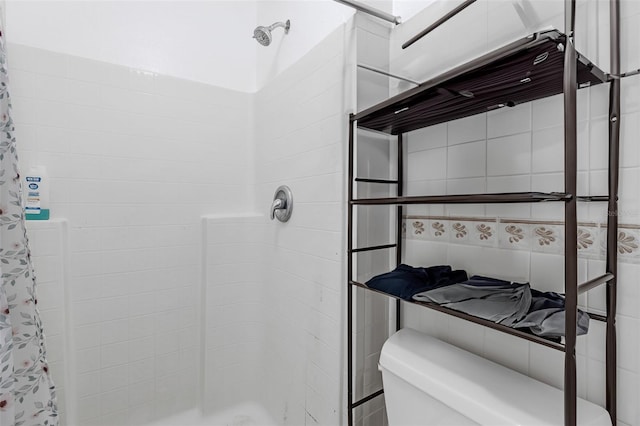 4617 Horseshoe Pick Ln, Valrico, FL 33594 - full bathroom featuring tiled shower and toilet