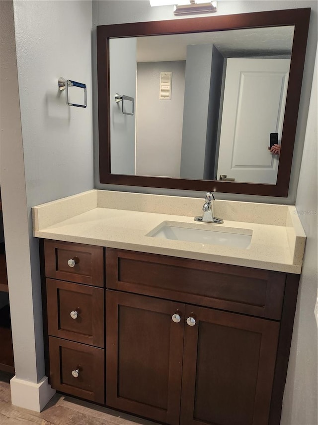 bathroom featuring wood finished floors and vanity