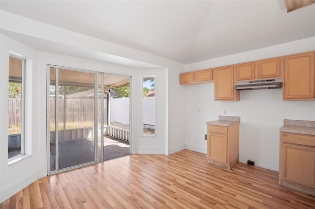kitchen featuring under cabinet range hood, light wood-style flooring, and light countertops