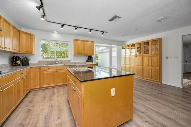 833 Lakeside Ter, Palm Harbor, FL 34683 - kitchen with light wood-style floors, a center island, a sink, and visible vents