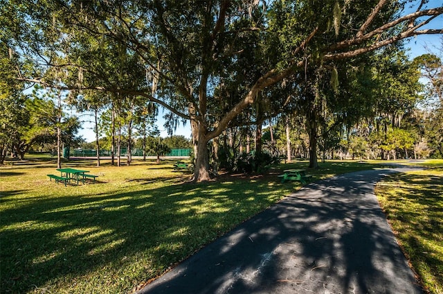 833 Lakeside Ter, Palm Harbor, FL 34683 - view of property's community with a lawn