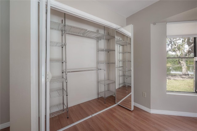 view of closet