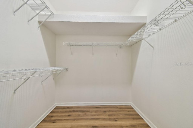 walk in closet featuring wood finished floors