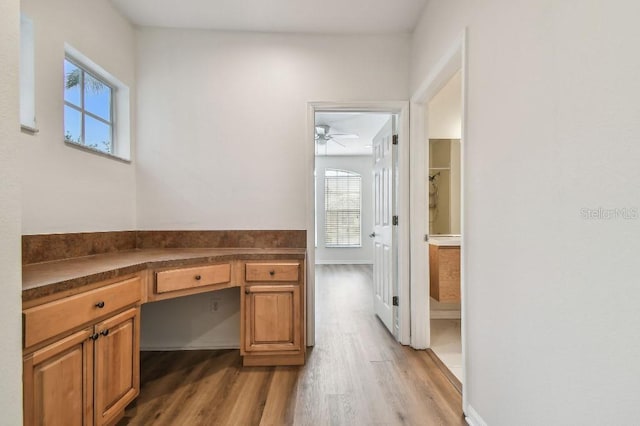 unfurnished office featuring a healthy amount of sunlight, ceiling fan, light wood finished floors, and built in study area