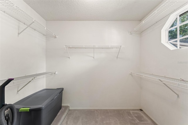 2373 Hounds Trl, Palm Harbor, FL 34683 - walk in closet with carpet floors